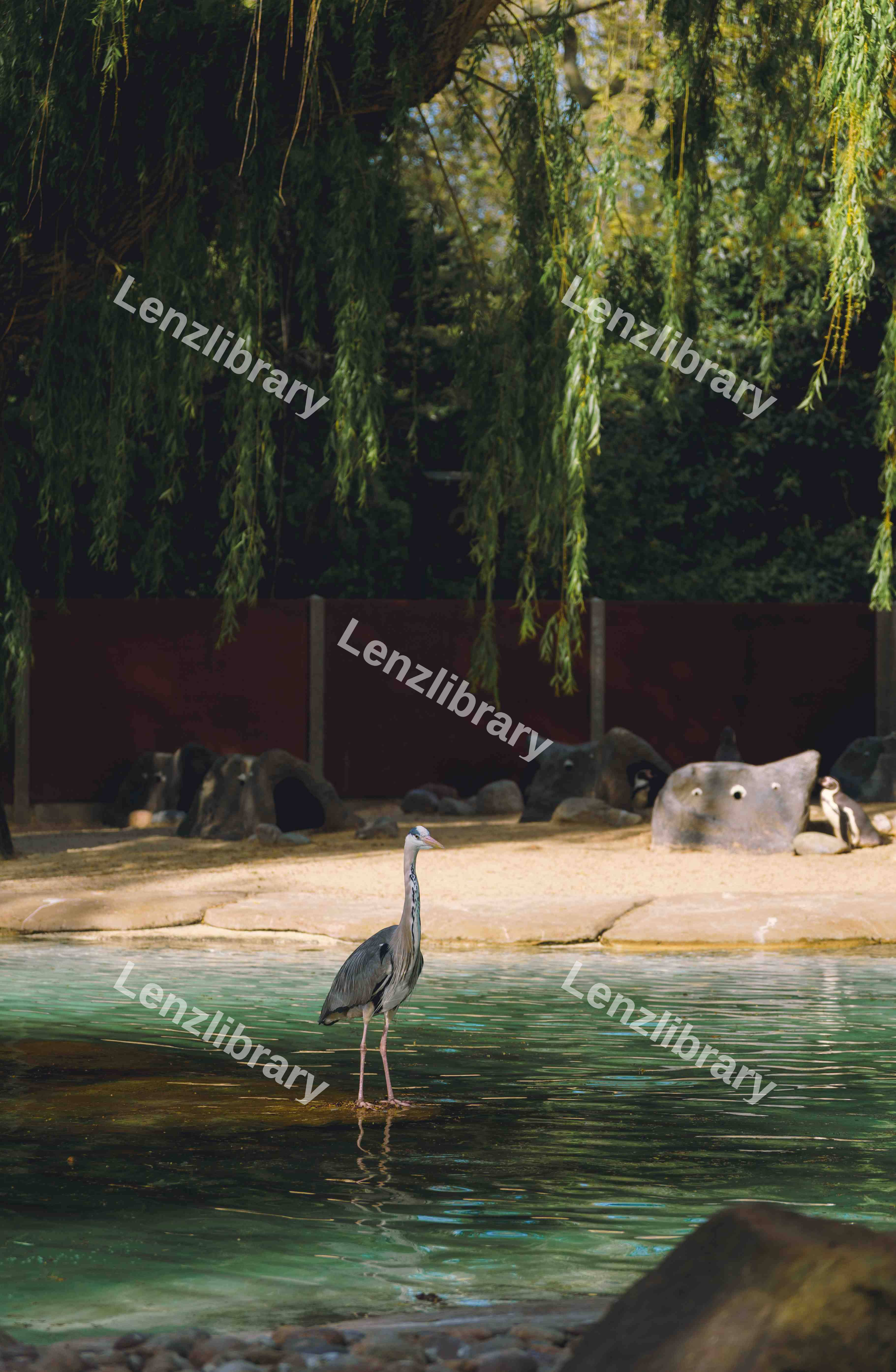 Tranquil Heron (Variation)